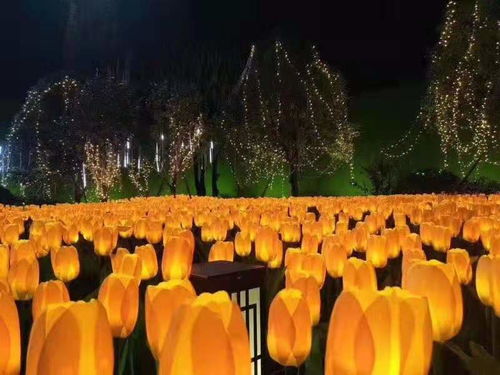 國際燈雕工藝品廠家與景觀亮化藝術