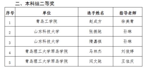 計算機(jī)工程系在第三屆山東新一代信息技術(shù)創(chuàng)新應(yīng)用大賽中喜獲佳績