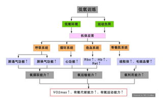 智能化低氧技術發展及其應用